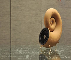 The first 3D print wooden sound